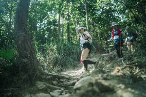 BIB: 
                            <button type="button" onclick="openModal(26049042)" class="btn btn-primary btn-sm float-right btn-popup" data-toggle="modal" data-target=".modal-high-quality">
                        <i class="fas fa-shopping-cart"></i> Add to Cart
                    </button>
                                            <button type="button" onclick="isThisMe(26049042, true)" class="btn btn-success btn-sm float-right btn-popup btn-isme hidden" data-toggle="tooltip" data-placement="bottom" title="นี่คือรูปของคุณใช่ไหม คลิกที่นี่เพื่อเอาเข้าอัลบั้ม">
                        <i class="fas fa-plus"></i> Add to album
                    </button>
                    <button type="button" onclick="isThisMe(26049042, false)" class="btn btn-warning btn-sm float-right btn-popup btn-isnotme hidden">
                        <i class="fas fa-ban"></i> Remove from album
                    </button>